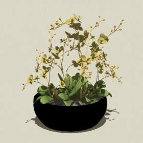 ����ֲ��-Sketchup��ͼ��ʦEnscape����ģ��20220511232