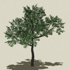 ��ľ-Sketchup��ͼ��ʦEnscape����ģ��2022051194