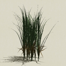 ��-Sketchup��ͼ��ʦEnscape����ģ��20220511104