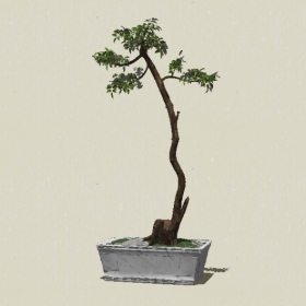 �辰ֲ��-Sketchup��ͼ��ʦEnscape����ģ��2022051153