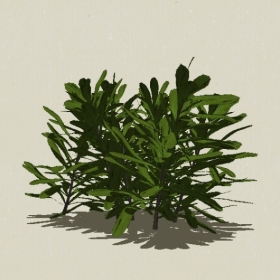 ��ľ-Sketchup��ͼ��ʦEnscape����ģ��2022051160