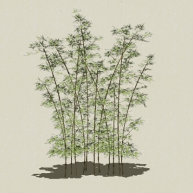 ����-Sketchup��ͼ��ʦEnscape����ģ��2022051122