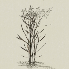 ��-Sketchup��ͼ��ʦEnscape����ģ��2022051182