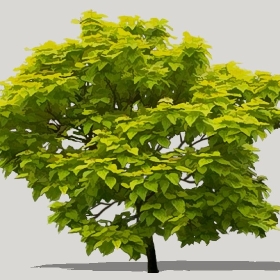 草图大师模型植物简模齐全2022年1233