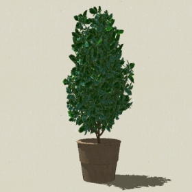 ����ֲ��-Sketchup��ͼ��ʦEnscape����ģ��2022051166