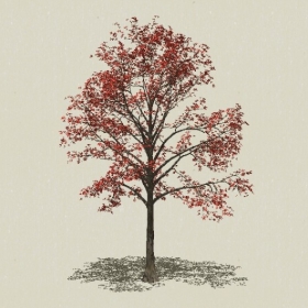 ��ľ-Sketchup��ͼ��ʦEnscape����ģ��2022051141