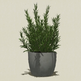 ����ֲ��-Sketchup��ͼ��ʦEnscape����ģ��20220511152