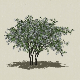 ��ľ��ľ-Sketchup��ͼ��ʦEnscape����ģ��202205112