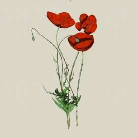 ����-Sketchup��ͼ��ʦEnscape����ģ��2022051161