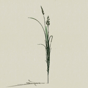 ��-Sketchup��ͼ��ʦEnscape����ģ��20220511124