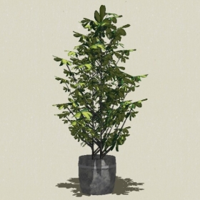 ����ֲ��-Sketchup��ͼ��ʦEnscape����ģ��20220511109