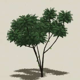 ��ľ-Sketchup��ͼ��ʦEnscape����ģ��2022051144