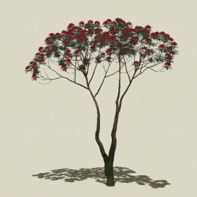 ��ľ��ľ-Sketchup��ͼ��ʦEnscape����ģ��2022051155