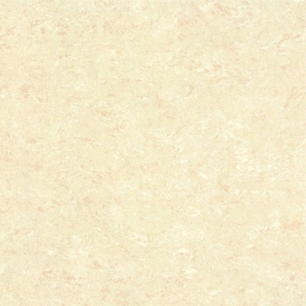 ʯɲ׹ש100100PB8023C  800X800MM