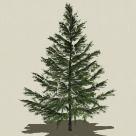 ��Ҷ��ľ-Sketchup��ͼ��ʦEnscape����ģ��2022051115