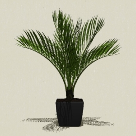 ����ֲ��-Sketchup��ͼ��ʦEnscape����ģ��20220511227