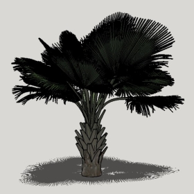 ���ֲ��_Enscape���ʲ�ͼ��ʦģ���������202204205540