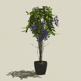 ����ֲ��-Sketchup��ͼ��ʦEnscape����ģ��20220511300