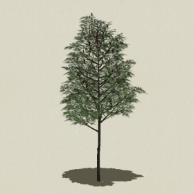 ��ľ-Sketchup��ͼ��ʦEnscape����ģ��2022051121