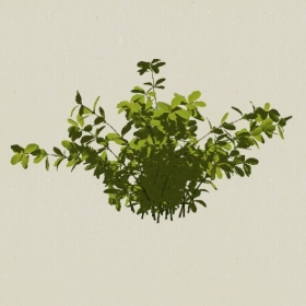 ��ľ-Sketchup��ͼ��ʦEnscape����ģ��2022051197