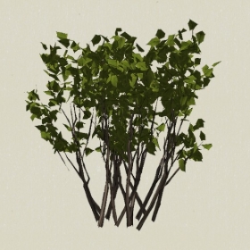 ��ľ-Sketchup��ͼ��ʦEnscape����ģ��20220511125