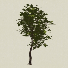 ��ľ-Sketchup��ͼ��ʦEnscape����ģ��20220511116