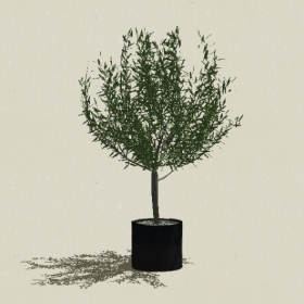 ����ֲ��-Sketchup��ͼ��ʦEnscape����ģ��20220511460