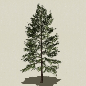 ��Ҷ��ľ-Sketchup��ͼ��ʦEnscape����ģ��2022051131