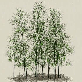 ����-Sketchup��ͼ��ʦEnscape����ģ��202205116