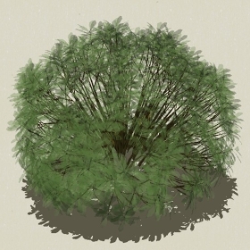 ��ľ-Sketchup��ͼ��ʦEnscape����ģ��2022051125