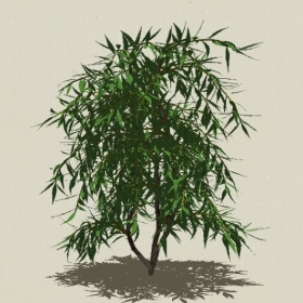 ��ľ-Sketchup��ͼ��ʦEnscape����ģ��2022051162