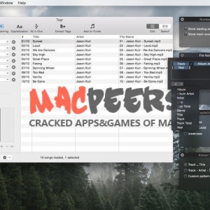 Tagr for mac 4.10.0 MP3/M4A/FLAC整理工具