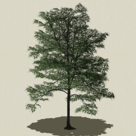 ��ľ-Sketchup��ͼ��ʦEnscape����ģ��2022051134