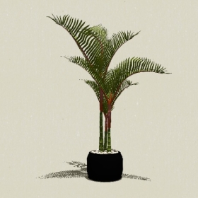 ����ֲ��-Sketchup��ͼ��ʦEnscape����ģ��20220511172