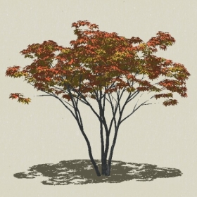 ��ľ-Sketchup��ͼ��ʦEnscape����ģ��20220511175