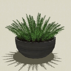 ����ֲ��-Sketchup��ͼ��ʦEnscape����ģ��2022051155