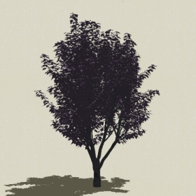 ��ľ-Sketchup��ͼ��ʦEnscape����ģ��20220511186