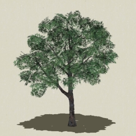 ��ľ-Sketchup��ͼ��ʦEnscape����ģ��2022051192