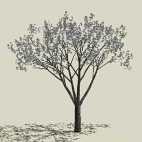 ��ľ��ľ-Sketchup��ͼ��ʦEnscape����ģ��2022051177