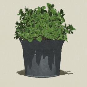 ����ֲ��-Sketchup��ͼ��ʦEnscape����ģ��20220511435