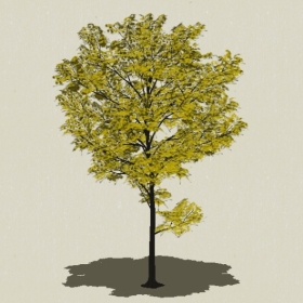 ��ľ-Sketchup��ͼ��ʦEnscape����ģ��2022051127