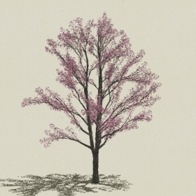 ��ľ��ľ-Sketchup��ͼ��ʦEnscape����ģ��2022051190