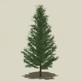 ��Ҷ��ľ-Sketchup��ͼ��ʦEnscape����ģ��2022051142