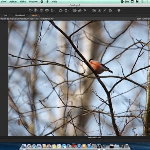 Phase One Media Pro SE for Mac 2.0.0.147 摄影专业管理软件