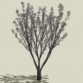 ��ľ��ľ-Sketchup��ͼ��ʦEnscape����ģ��2022051184