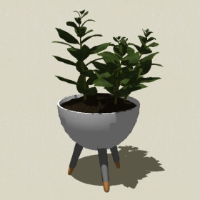 ����ֲ��-Sketchup��ͼ��ʦEnscape����ģ��20220511369