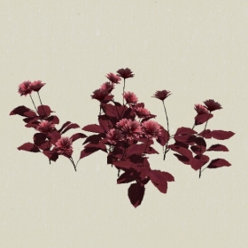 ����-Sketchup��ͼ��ʦEnscape����ģ��20220511100