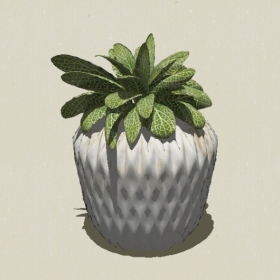 ����ֲ��-Sketchup��ͼ��ʦEnscape����ģ��2022051123