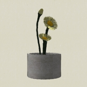 ����ֲ��-Sketchup��ͼ��ʦEnscape����ģ��20220511415