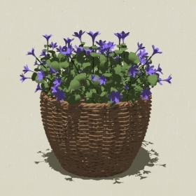 ����ֲ��-Sketchup��ͼ��ʦEnscape����ģ��2022051123